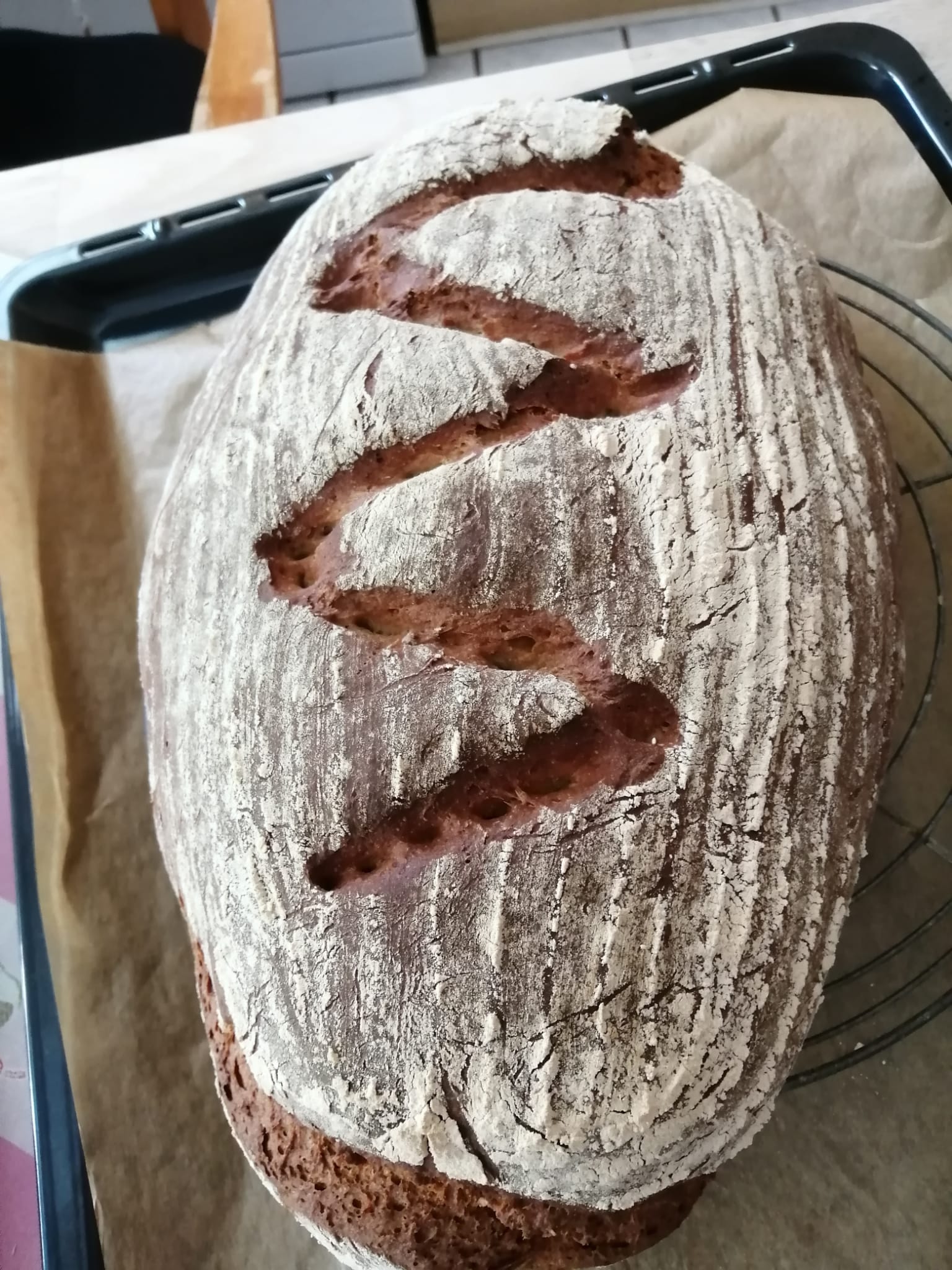 Vinschgauer Brotgewürz – Bild 2